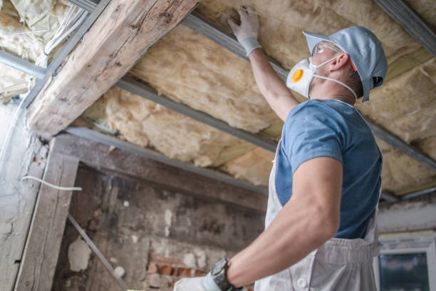 Best Specialty Insulation in Clay City, KY